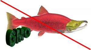 GMO SALMON