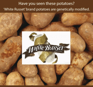 GMO White-Russet-Potatoes