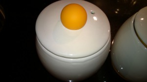 Eggtastic cooker